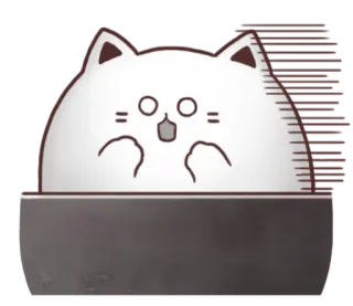 ☕ chat, chat blanc, mignon, animal, autocollant, kawaii, drôle whatsapp sticker