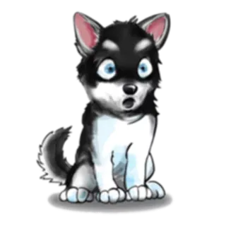 😧 chó, chó con, husky, dễ thương, động vật, thú cưng telegram sticker