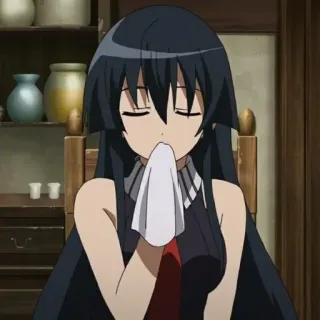 🍫 Akame Akame ga Kill! Аниме, Акаме, Akame ga Kill, Персонаж, Девушка, Длинные волосы, Черные волосы telegram sticker