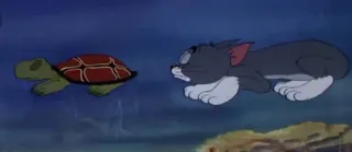 🐢 Tom Tom and Jerry Tom, Tartaruga, Cartone animato, Animale, Commedia, Animazione telegram sticker