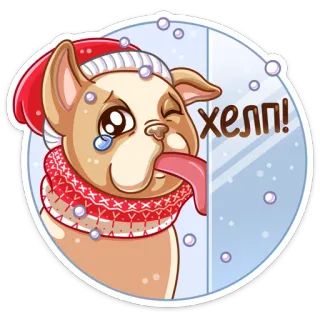 😓 Хелп! cachorro, triste, chorar, ajuda, russo, frio, inverno, neve telegram sticker