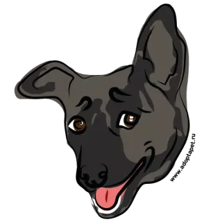 😄 chien, animal, animal de compagnie, dessin animé, autocollant, mammifère, animal domestique, chiot whatsapp sticker