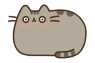 😳 Pusheen chat, dessin animé, Pusheen, mignon, autocollant telegram sticker