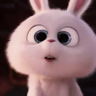 🐰 Snowball The Secret Life of Pets coelho, fofo, animal, animal de estimação, desenho animado, animado whatsapp sticker