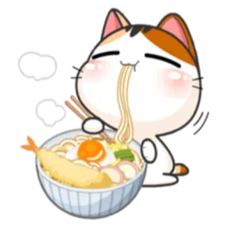 🍜 gato, macarrão, comida, fofo, kawaii, comendo, udon telegram sticker