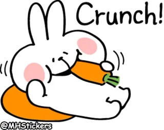 😎 Crunch! conejo, conejito, zanahoria, comida, lindo, animal, crujido whatsapp sticker