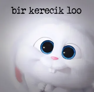 🙏 Snowball The Secret Life of Pets bir kerecik loo 토끼, 귀여운, 동물, 토끼, 애완 동물, 만화, 애니메이션 whatsapp sticker