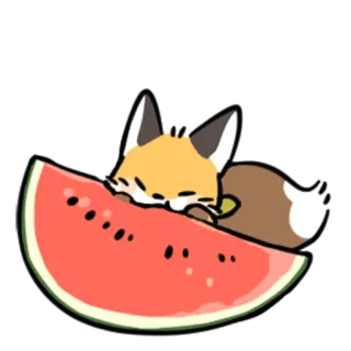 🍉 キツネ, スイカ, かわいい, 動物, フルーツ, ステッカー whatsapp sticker