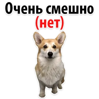 🧐 Очень смешно
(нет) dog, corgi, funny, sarcastic, text, russian telegram sticker