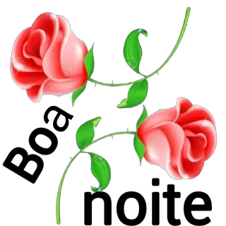 😊 Rose, Blume, Blumen, Pflanze, Natur, Liebe, Romantik, Garten whatsapp sticker