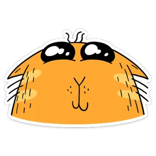 😯 gato, fofo, adesivo, animal, desenho animado, kawaii, felino telegram sticker