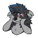 😳 Furry, Lobo, Avergonzado, Dibujos animados, Anthro, Triste, Llorando telegram sticker