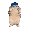 💃