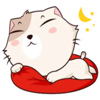 😴 chat, sommeil, lune, étoiles, rêve, mignon, animal telegram sticker