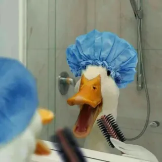 👒 duck, shower, bathroom, mirror, hair, cute whatsapp sticker