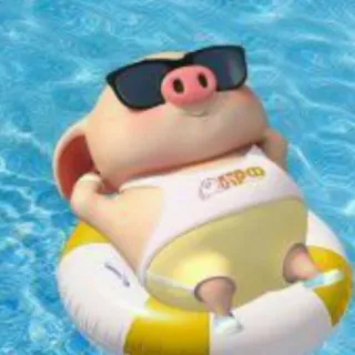 🐷 СТРОЯ 돼지, 만화, 선글라스, 수영장, 휴식, 여름, 튜브 telegram sticker