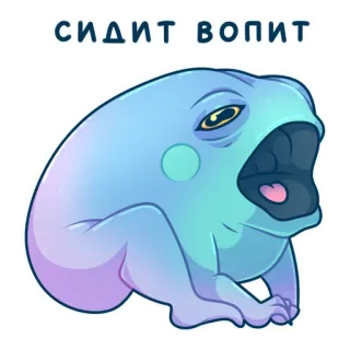 😱 СИДИТ.ВОПИТ. żaba, smutny, przygnębiony, płacz, płaczący, niebieski telegram sticker