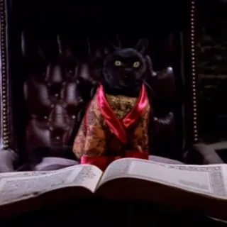 📖 cat, black cat, robe, book, animal, pet telegram sticker