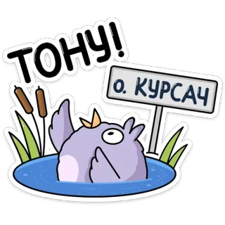 🙋‍♂ ТОНУ!
О. КУРСАЧ จมน้ำ, นก, นิ้วกลาง, ข้อความรัสเซีย, ช่วยด้วย, ความทุกข์ telegram sticker