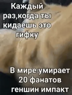 😁 Каждый
раз, когда ты
кидаешь это
гифку
В мире умирает
20 фанатов
геншин импакт Katze, Meme, Genshin Impact, Humor, Russisch, Text whatsapp sticker