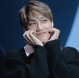 💵 사람, 남자, 인물사진, 미소, kpop, 카이 whatsapp sticker