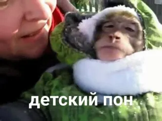 🤱 детский пон monkey, child, winter, cold, cute telegram sticker