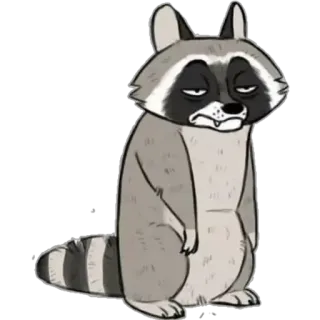 😒 Waschbär, Tier, Cartoon, Sticker, Müde, Grumpy telegram sticker