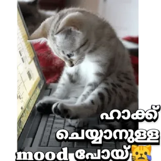 😒 ഹാക്ക് ചെയ്യാനുള്ള mood പോയ് kat, computer, stemming, hack, verdrietig telegram sticker