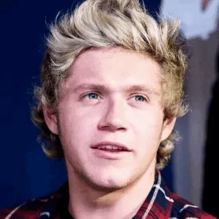 ✨ Niall Horan นักร้อง, คนดัง, ป็อปสตาร์, นักดนตรี, one direction, niall horan telegram sticker