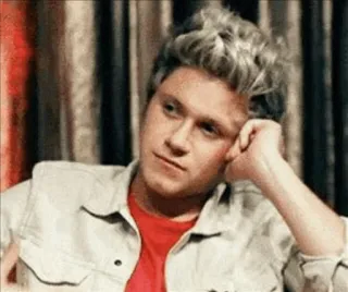 💫 Niall Horan 유명인, 가수, 원디렉션, 나일 호란, 음악가 telegram sticker