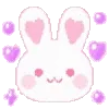 🐰