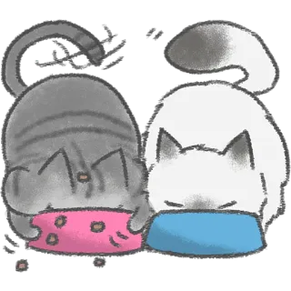 🍴 katten, eten, voedsel, schattig, dieren whatsapp sticker