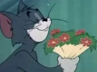 🈹 Tom Cat Tom and Jerry Tom, bloemen, cartoon, kat, vrolijk, boeket whatsapp sticker