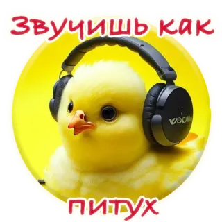 🐓 Звучишь как
питух цыпленок, наушники, оскорбление, русский, животное, смешной telegram sticker