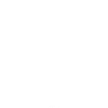 🪙