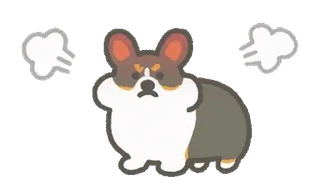 🤬 anjing, corgi, marah, imut, kartun, hewan peliharaan telegram sticker