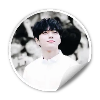 😍 стикер, мужчина, портрет, человек, мужской telegram sticker