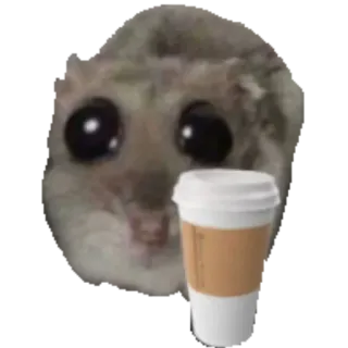 ☕️ Japanese dwarf flying squirrel squirrel, animal, coffee, cute, funny, memes, rodent telegram sticker