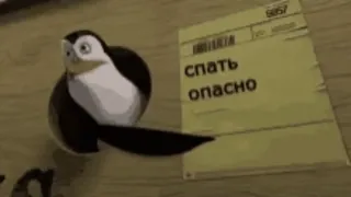 🌟 спать опасно pingouin, russe, texte, animal, dessin animé whatsapp sticker