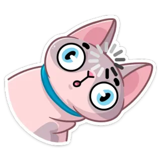 😳 gatto, adesivo, cartone animato, animale, sphynx, divertente telegram sticker