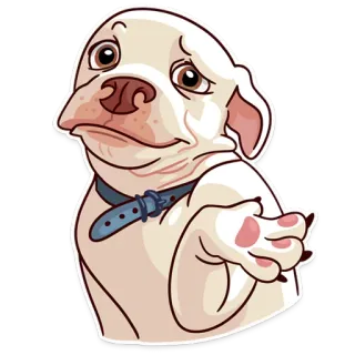 🤷 perro, cachorro, lindo, animal, mascota, collar, blanco whatsapp sticker
