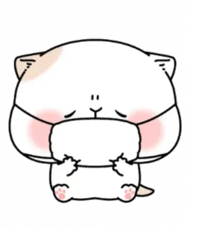 😷 chat, mignon, animal, sticker, kawaii, dessin animé whatsapp sticker