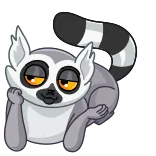 😏 lemur, animal, mammal, cute, lazy, tired telegram sticker