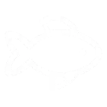 🐟