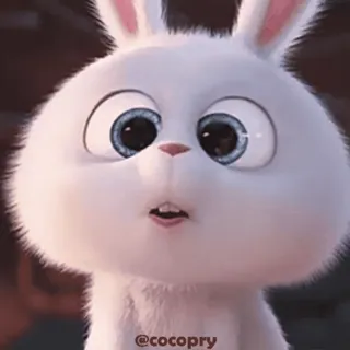 Snowball 😍 @MochaStickers whatsapp stickers