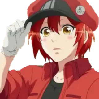 😧 AE3803 Cells at Work! Anime, Rotes Blutkörperchen, Cells at Work, Charakter, Cartoon, Zeichnung telegram sticker
