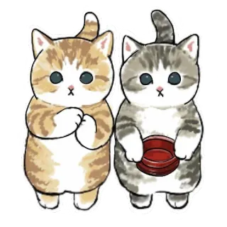 👯‍♀ gatos, lindo, gatitos, animales, mascota whatsapp sticker