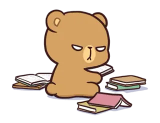 😒 urso, livros, estudando, desenho animado, fofo, animal telegram sticker