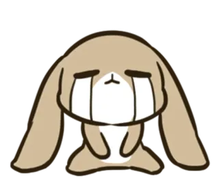😭 coelho, chorando, triste, emoção, lágrimas whatsapp sticker