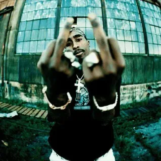 🖕 Tupac Shakur rappeur, musique, doigt d'honneur, 2Pac, Tupac whatsapp sticker